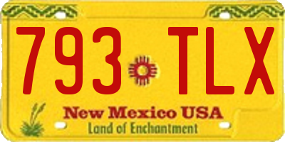 NM license plate 793TLX