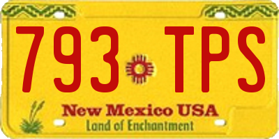 NM license plate 793TPS