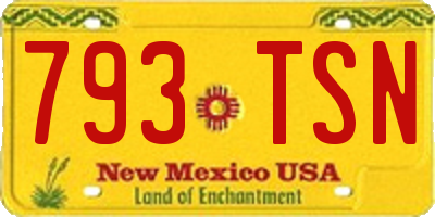 NM license plate 793TSN
