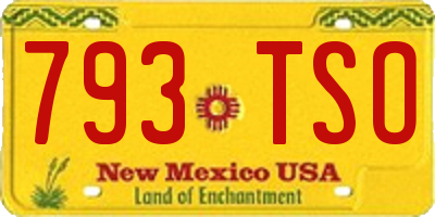 NM license plate 793TSO