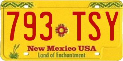 NM license plate 793TSY