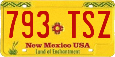 NM license plate 793TSZ