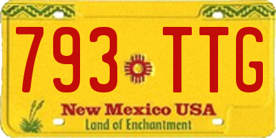 NM license plate 793TTG