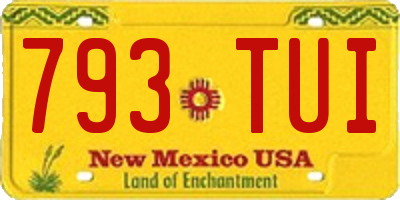 NM license plate 793TUI