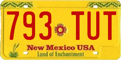 NM license plate 793TUT