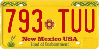 NM license plate 793TUU