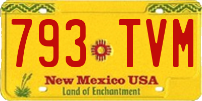 NM license plate 793TVM