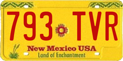NM license plate 793TVR