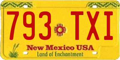 NM license plate 793TXI