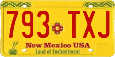 NM license plate 793TXJ