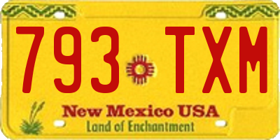 NM license plate 793TXM