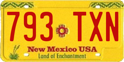 NM license plate 793TXN