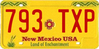 NM license plate 793TXP