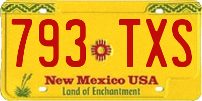 NM license plate 793TXS