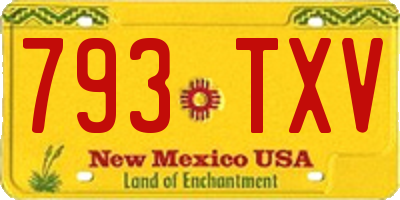 NM license plate 793TXV