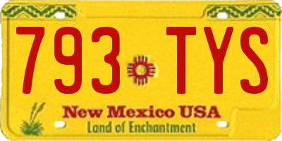 NM license plate 793TYS