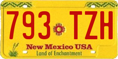 NM license plate 793TZH