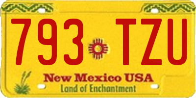 NM license plate 793TZU