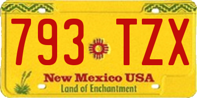 NM license plate 793TZX