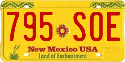 NM license plate 795SOE
