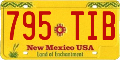 NM license plate 795TIB