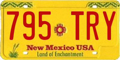 NM license plate 795TRY