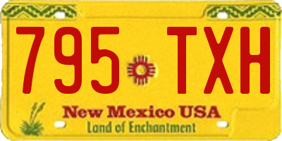 NM license plate 795TXH