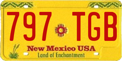 NM license plate 797TGB