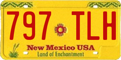NM license plate 797TLH