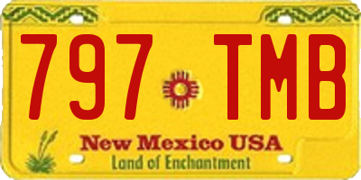 NM license plate 797TMB