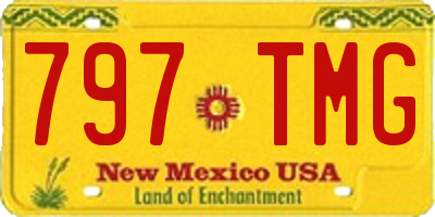 NM license plate 797TMG