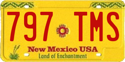 NM license plate 797TMS