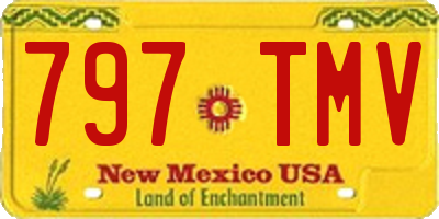 NM license plate 797TMV