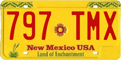 NM license plate 797TMX