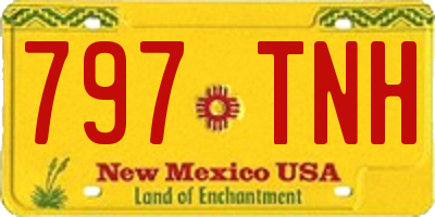 NM license plate 797TNH