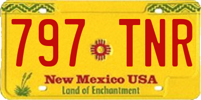NM license plate 797TNR
