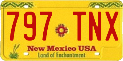 NM license plate 797TNX