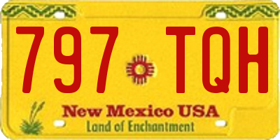 NM license plate 797TQH