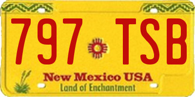 NM license plate 797TSB