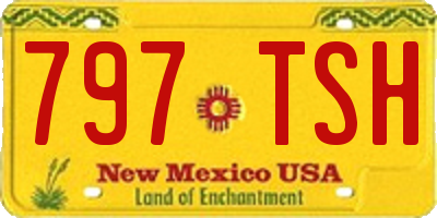 NM license plate 797TSH