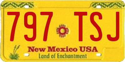 NM license plate 797TSJ