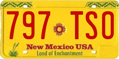 NM license plate 797TSO