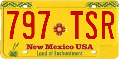 NM license plate 797TSR