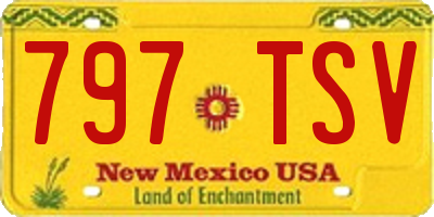 NM license plate 797TSV