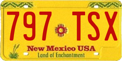 NM license plate 797TSX