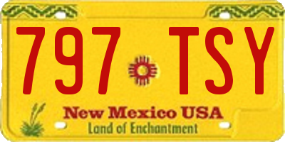 NM license plate 797TSY