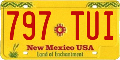 NM license plate 797TUI