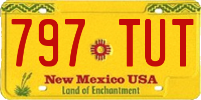 NM license plate 797TUT
