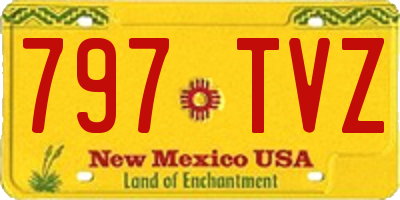 NM license plate 797TVZ