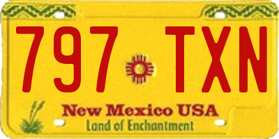 NM license plate 797TXN
